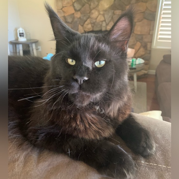 Meet your seller!!! - Picture 12 of 16